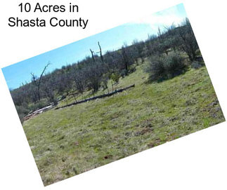 10 Acres in Shasta County
