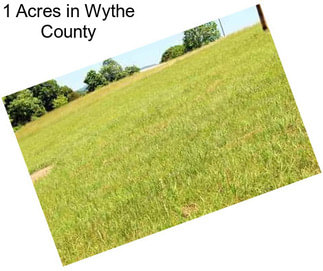 1 Acres in Wythe County