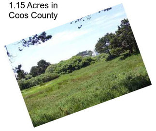 1.15 Acres in Coos County
