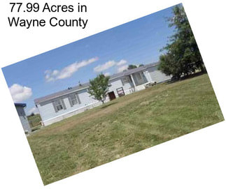 77.99 Acres in Wayne County