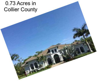 0.73 Acres in Collier County