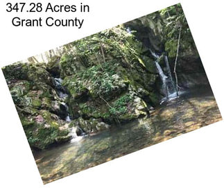 347.28 Acres in Grant County