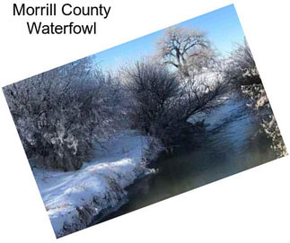 Morrill County Waterfowl