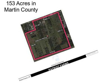 153 Acres in Martin County