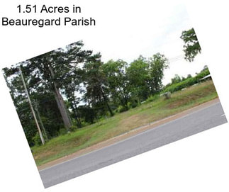 1.51 Acres in Beauregard Parish