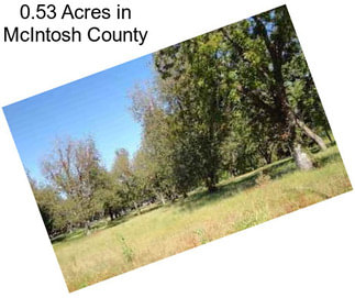 0.53 Acres in McIntosh County