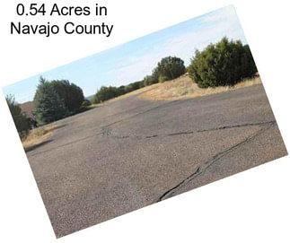 0.54 Acres in Navajo County