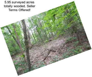 5.95 surveyed acres totally wooded. Seller Terms Offered!