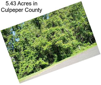 5.43 Acres in Culpeper County