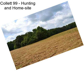 Collett 99 - Hunting and Home-site