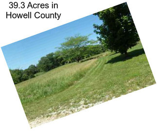 39.3 Acres in Howell County