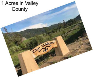 1 Acres in Valley County