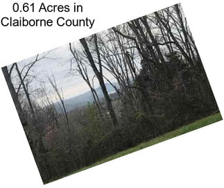 0.61 Acres in Claiborne County