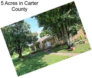 5 Acres in Carter County