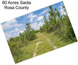 60 Acres Santa Rosa County