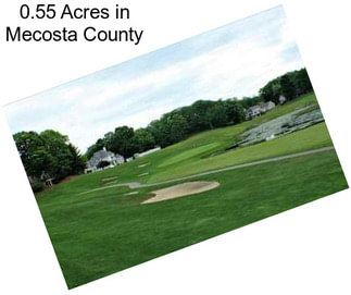 0.55 Acres in Mecosta County