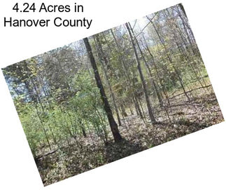 4.24 Acres in Hanover County