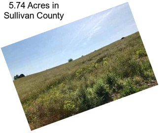 5.74 Acres in Sullivan County