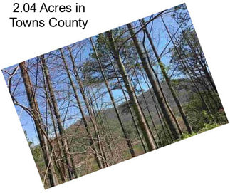 2.04 Acres in Towns County