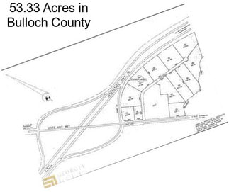 53.33 Acres in Bulloch County