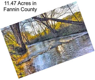 11.47 Acres in Fannin County
