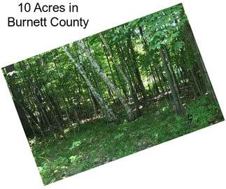 10 Acres in Burnett County