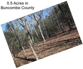 0.5 Acres in Buncombe County