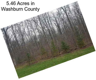 5.46 Acres in Washburn County