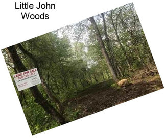 Little John Woods