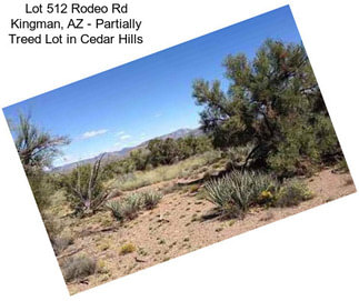 Lot 512 Rodeo Rd Kingman, AZ - Partially Treed Lot in Cedar Hills