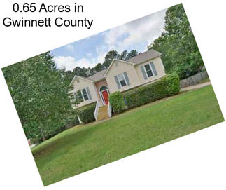 0.65 Acres in Gwinnett County