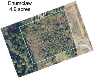 Enumclaw 4.9 acres