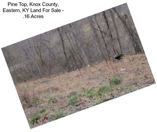 Pine Top, Knox County, Eastern, KY Land For Sale - .16 Acres
