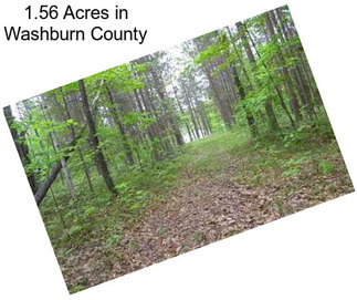 1.56 Acres in Washburn County