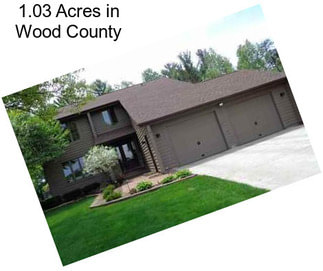 1.03 Acres in Wood County