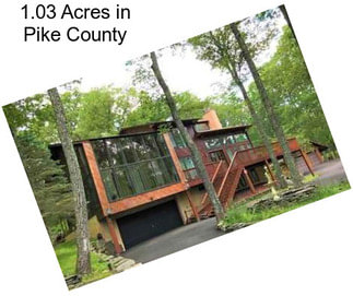 1.03 Acres in Pike County