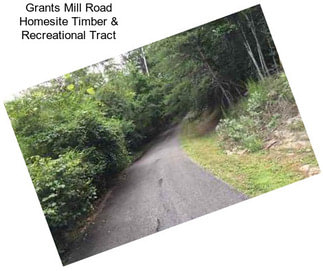 Grants Mill Road Homesite Timber & Recreational Tract