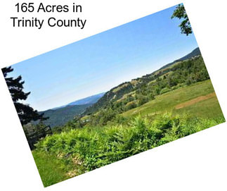 165 Acres in Trinity County