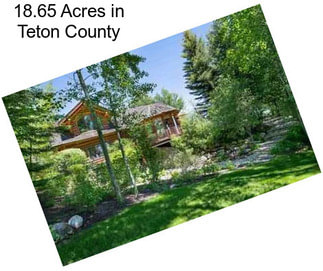 18.65 Acres in Teton County