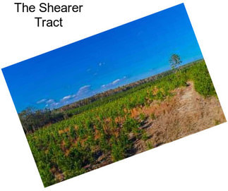 The Shearer Tract