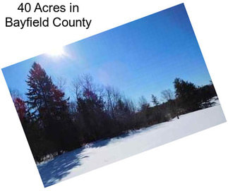 40 Acres in Bayfield County