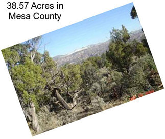 38.57 Acres in Mesa County