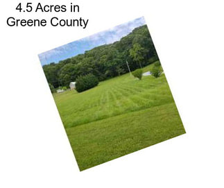 4.5 Acres in Greene County