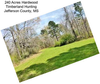 240 Acres Hardwood Timberland Hunting Jefferson County, MS
