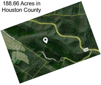 188.66 Acres in Houston County