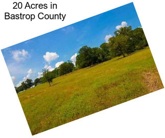 20 Acres in Bastrop County