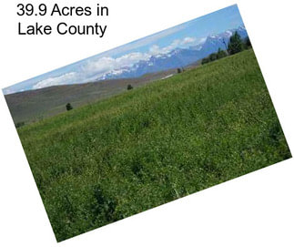 39.9 Acres in Lake County