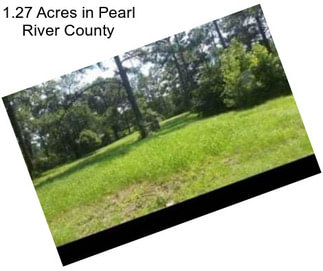 1.27 Acres in Pearl River County