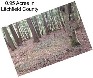 0.95 Acres in Litchfield County