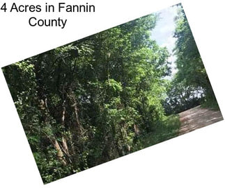 4 Acres in Fannin County
